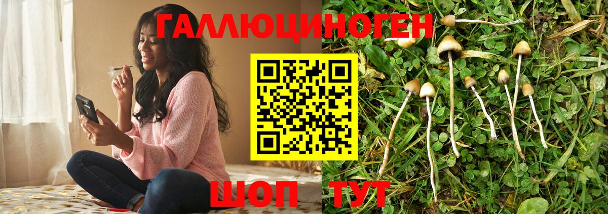 Псилоцибиновые грибы прущие грибы  Вход с VPN  Севастополь  Псилоцибиновые грибы ЛСД 